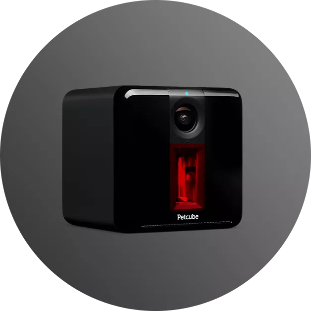 Iot Devices for Pets - Petcube