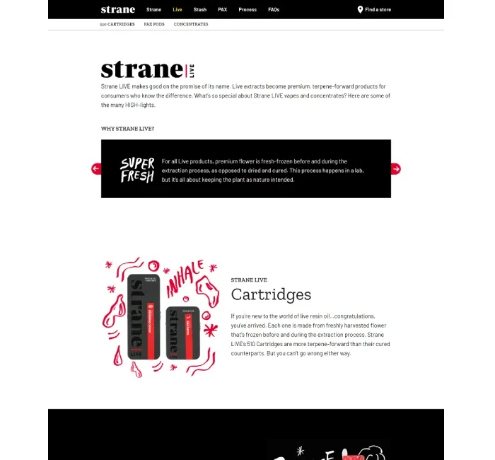 Strane case study solution image 1