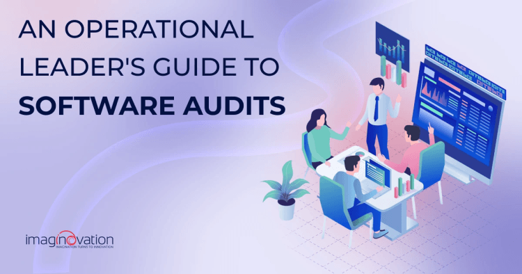 Software Audit