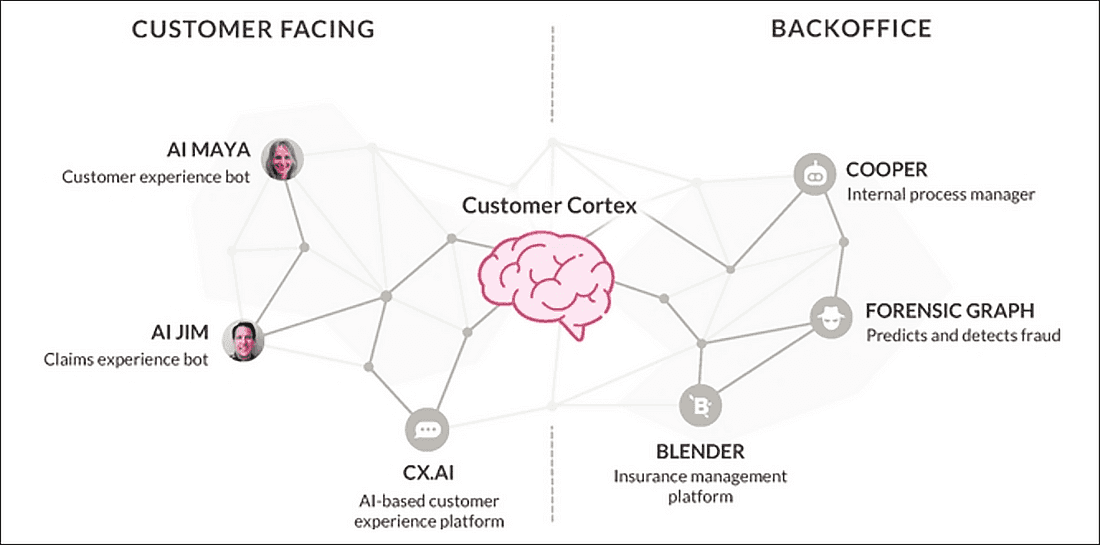 Uses Cases of AI Adoption at Lemonade