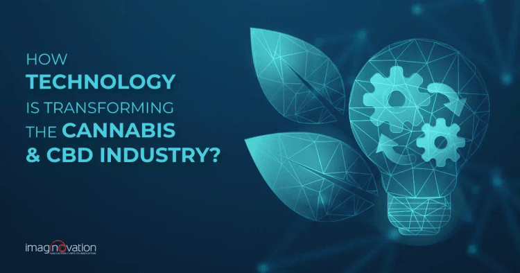 Technology Transforming the Cannabis and CBD Industry