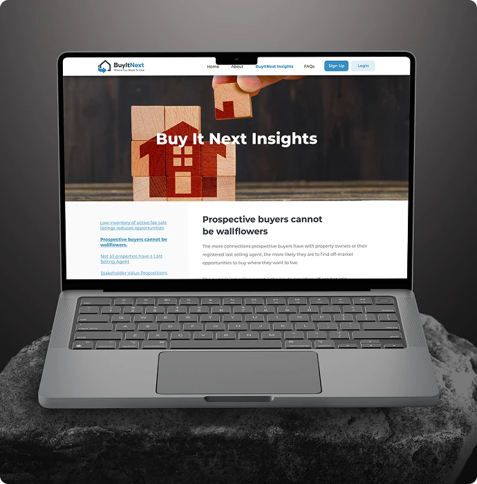 BIN strategy image 2