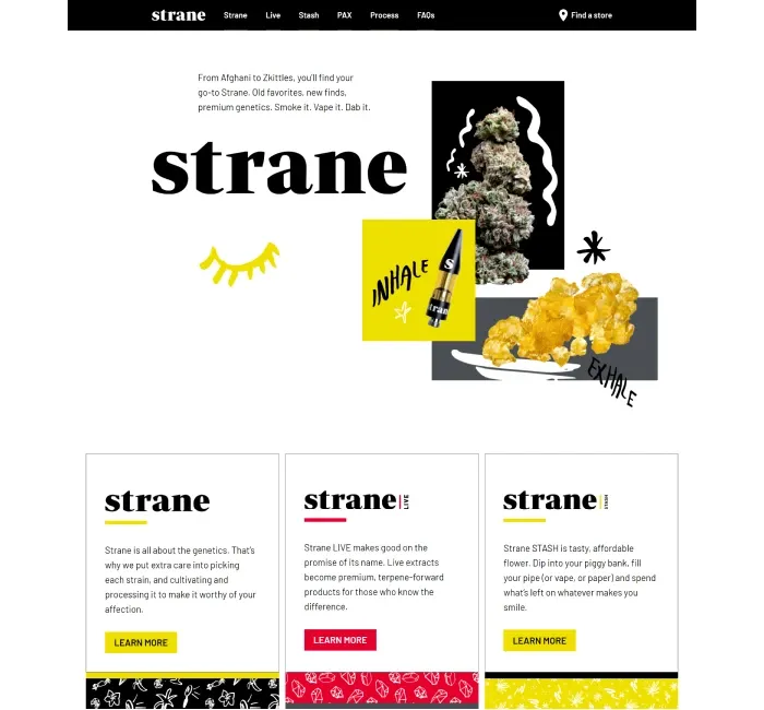 Strane case study solution image 1